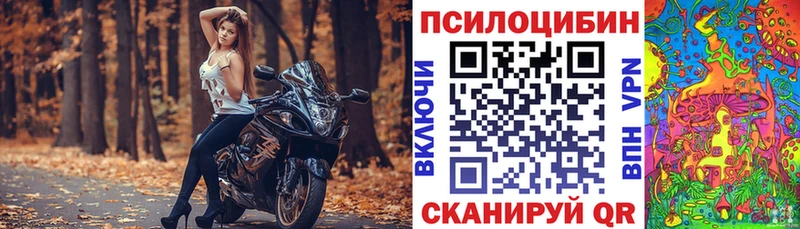 Псилоцибиновые грибы Psilocybine cubensis  Азов 